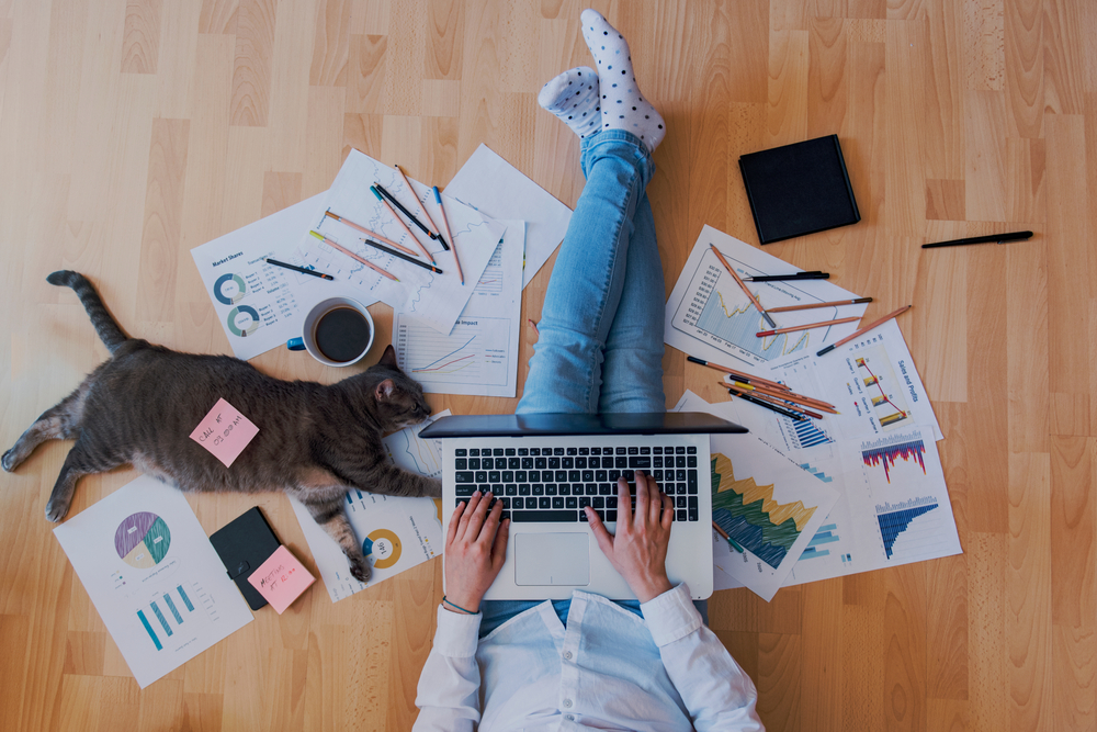 Finance Guides to help manager your finances