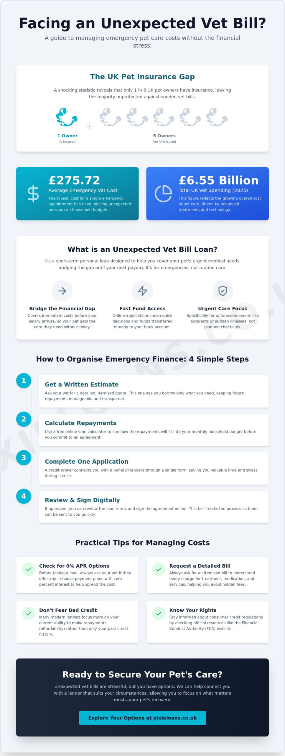 Unexpected Vet Bill Loan: A Helpful Guide to Emergency Pet Finance